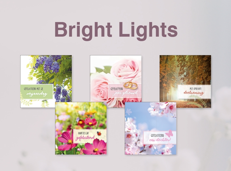 Bright Lights (2301-2386)
