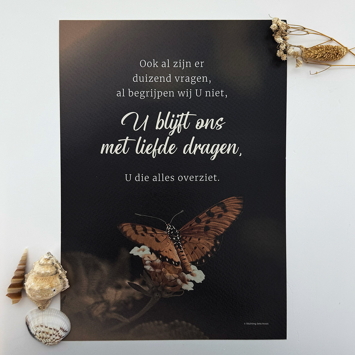 Posters A4