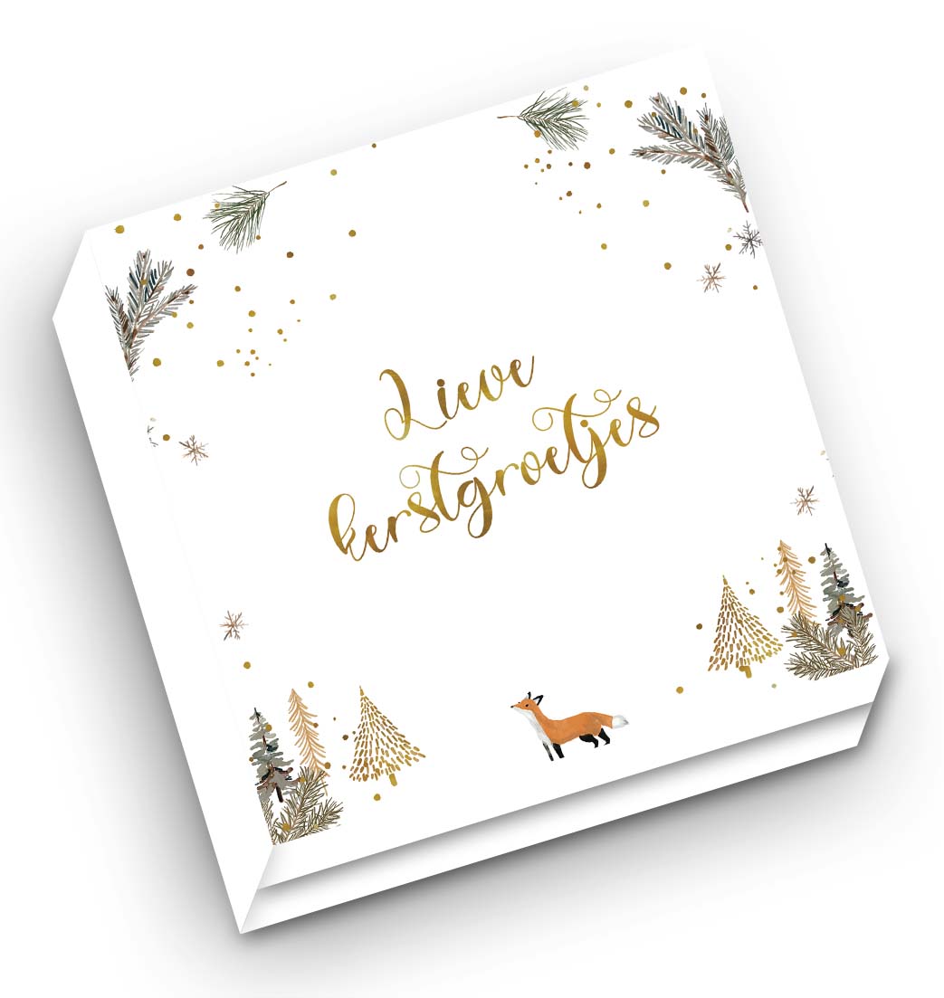 Mapje Notecards Lifeprints