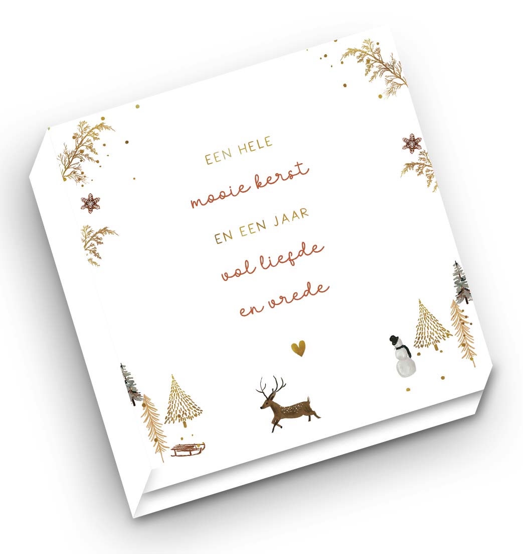 Mapje Notecards Lifeprints