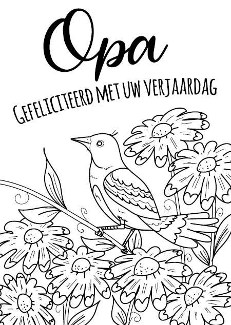Kleurkaart Opa