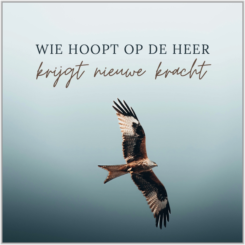 Schilderij Square Wie hoopt op de Heer