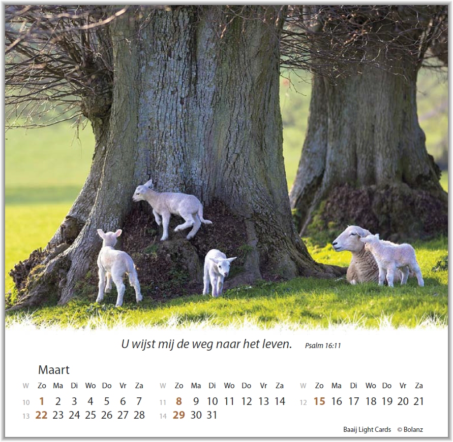 Kalender Een leven