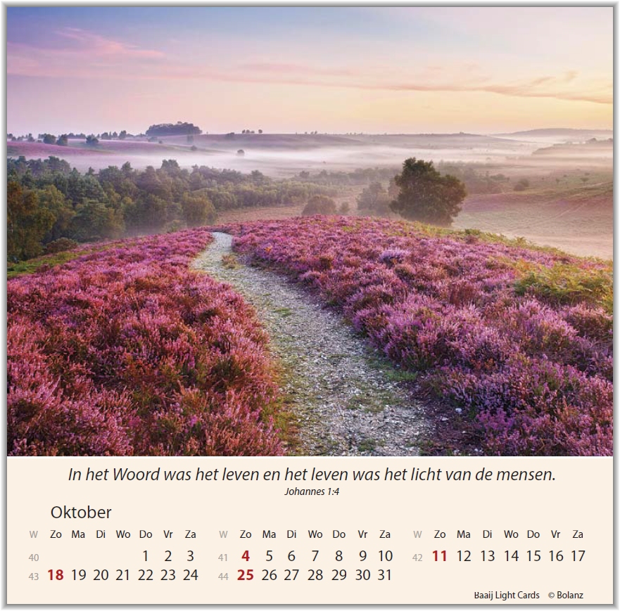 Kalender Weg-Licht-Leven