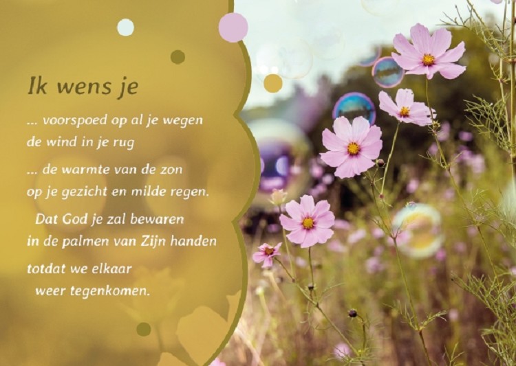 Ik wens je - Pbk, Bl, Mk Ichtus Lights (3201-3430) - blcwebshop