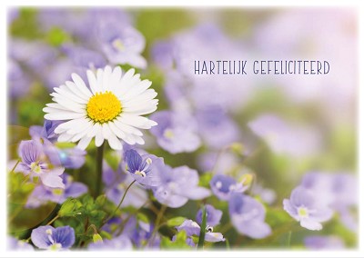 Gefeliciteerd