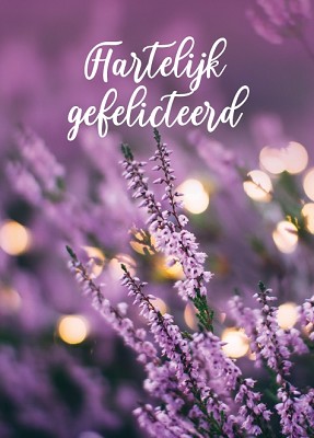 Gefeliciteerd