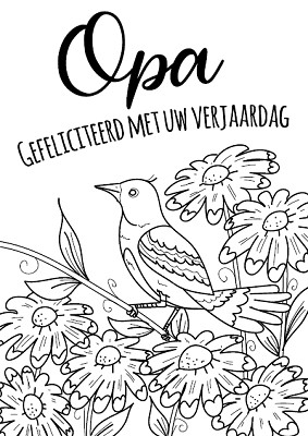 Kleurkaart Opa