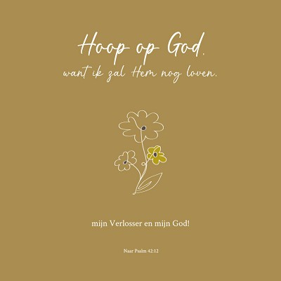 Hoop op God