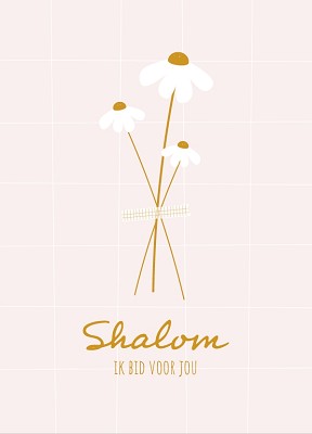 Shalom Ik bid voor jou