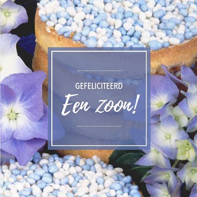 Geboorte Zoon