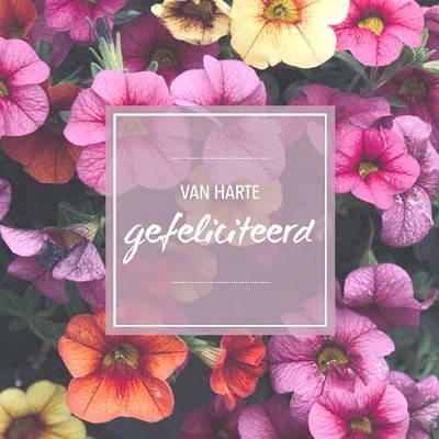 Gefeliciteerd