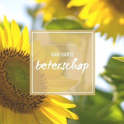 Beterschap