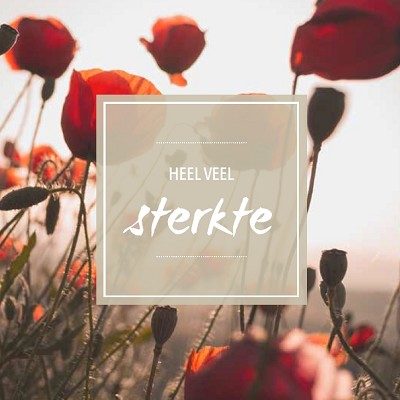 Sterkte