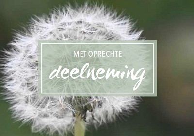 Deelneming