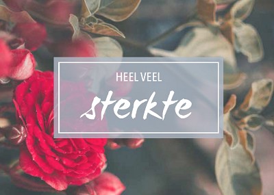 Sterkte