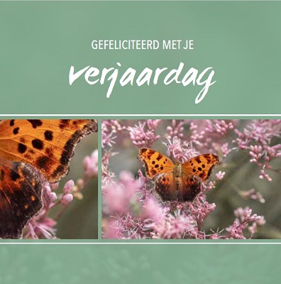 Gefeliciteerd