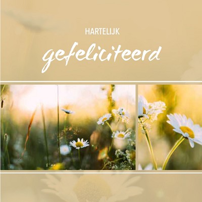 Gefeliciteerd