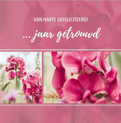Echtvereniging