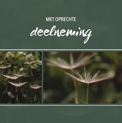 Deelneming