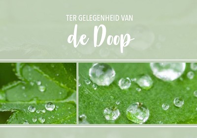 Doop