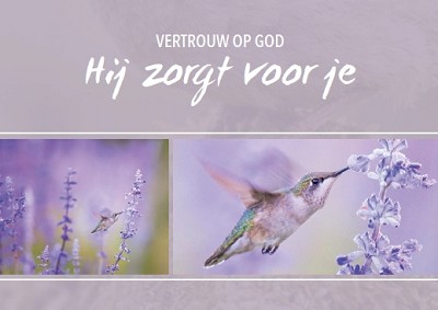 Vertrouw op God
