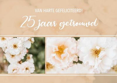 25 jaar getrouwd