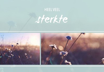 Sterkte