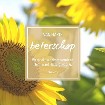Beterschap m/t