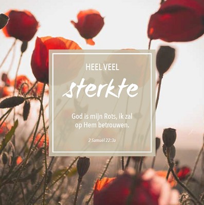 Sterkte m/t