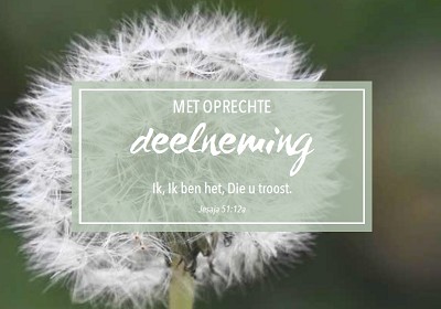 Deelneming m/t