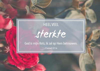 Sterkte m/t
