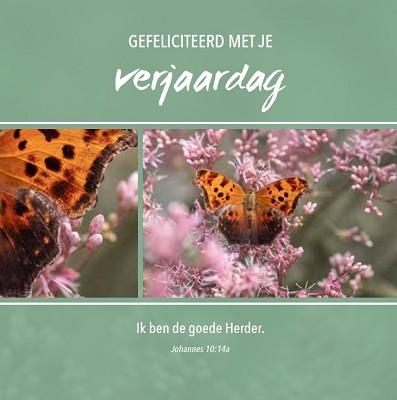 Gefeliciteerd m/t