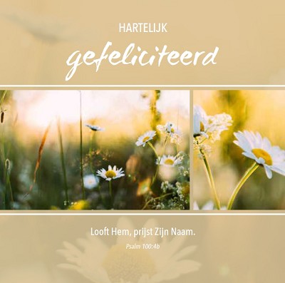 Gefeliciteerd m/t