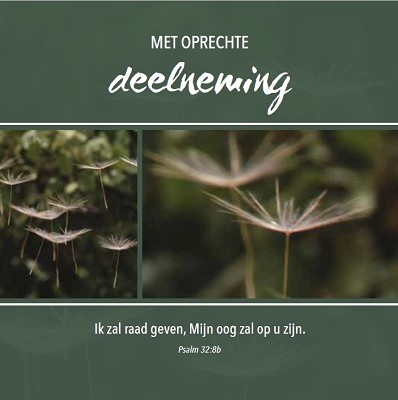 Deelneming m/t