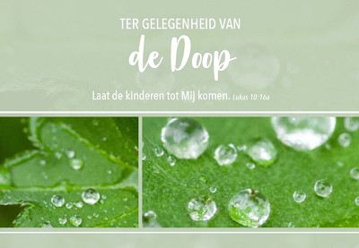Doop m/t