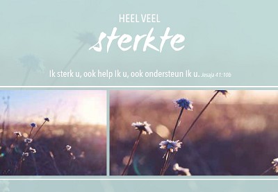 Sterkte m/t
