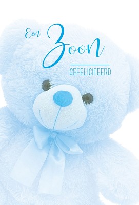 Geboorte zoon