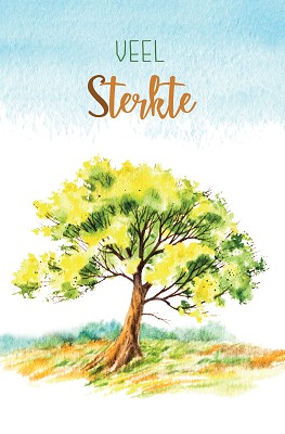 Sterkte