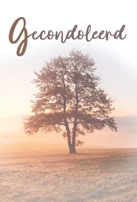 Deelneming