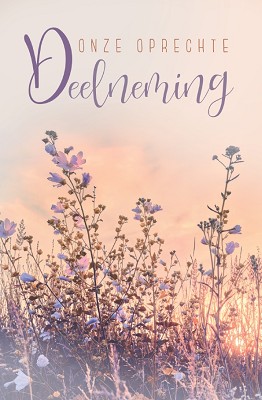 Deelneming