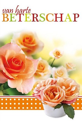 Beterschap