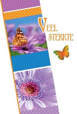 Sterkte