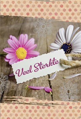 Sterkte