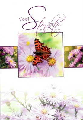 Sterkte