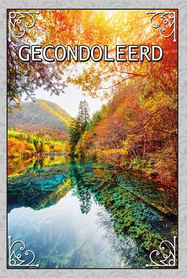 Deelneming