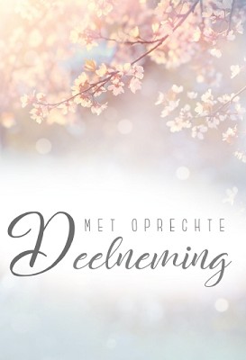 Deelneming