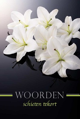 Woorden tekort