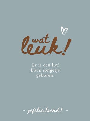 Geboorte zoon