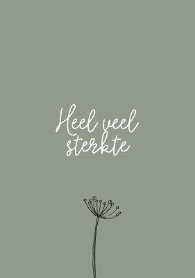 Sterkte